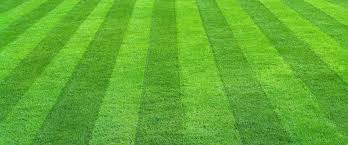 Keep Your Lawn Looking Healthy With These Tips